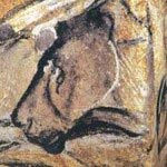 Chauvet Cave - Famous lion Cave painting